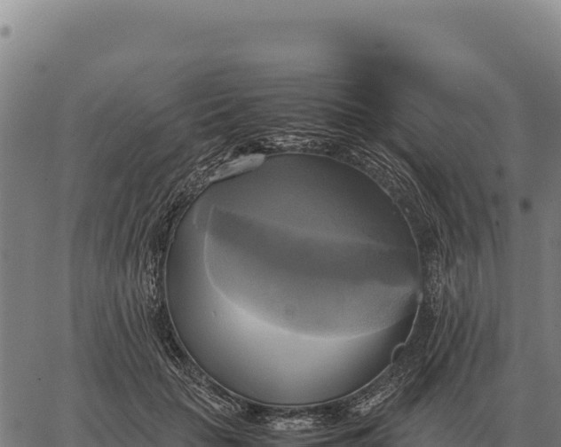 X0000066520653200603311755