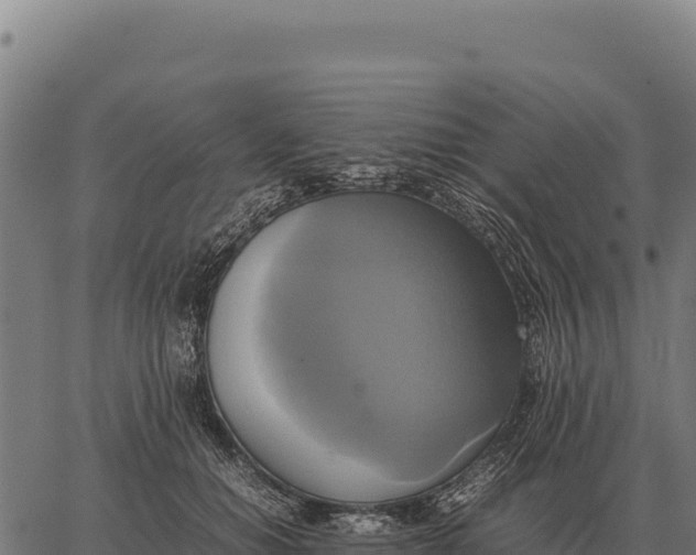 X0000066520654200603311755