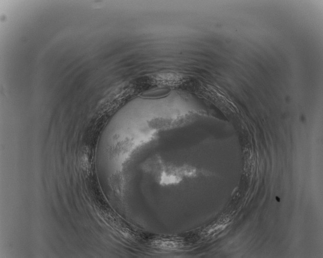 X0000066520655200603311755