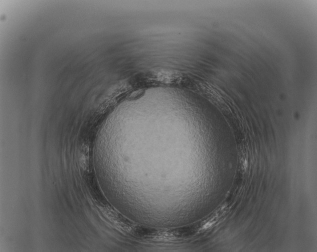 X0000066520656200603311755