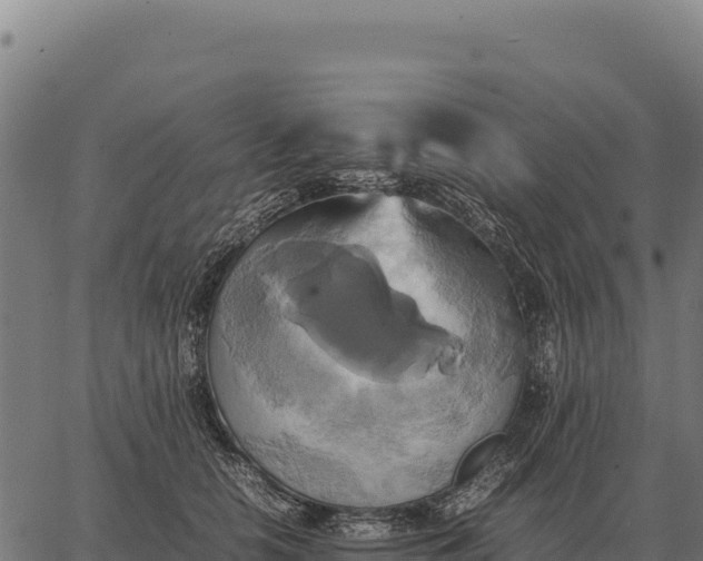 X0000066520658200603311755