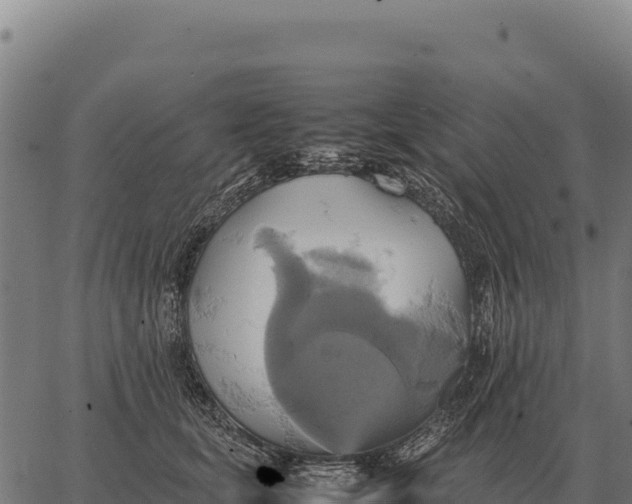 X0000066520659200603311755