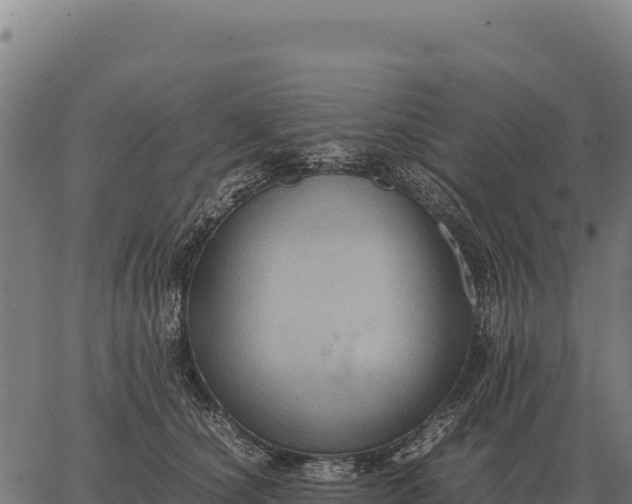 X0000066520660200603311756