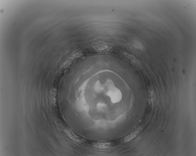 X0000066520664200603311756