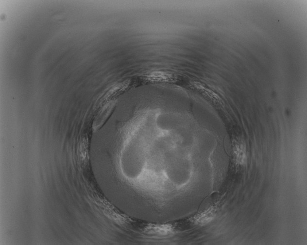 X0000066520665200603311756