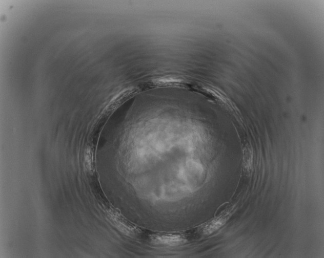 X0000066520669200603311756