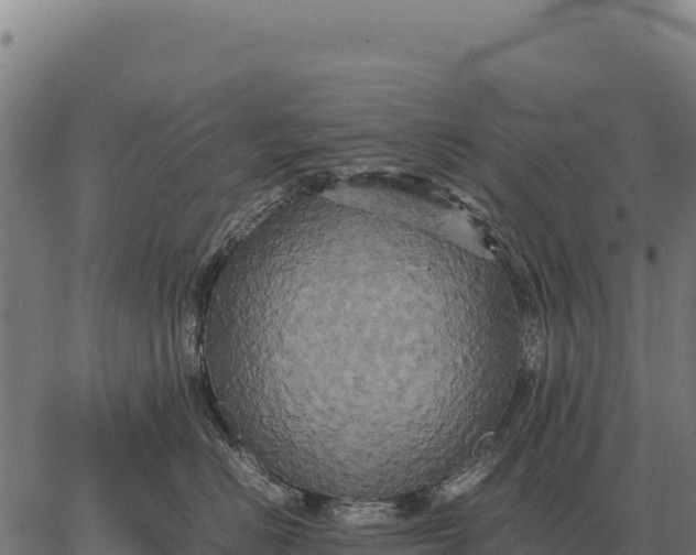 X0000066520670200603311756