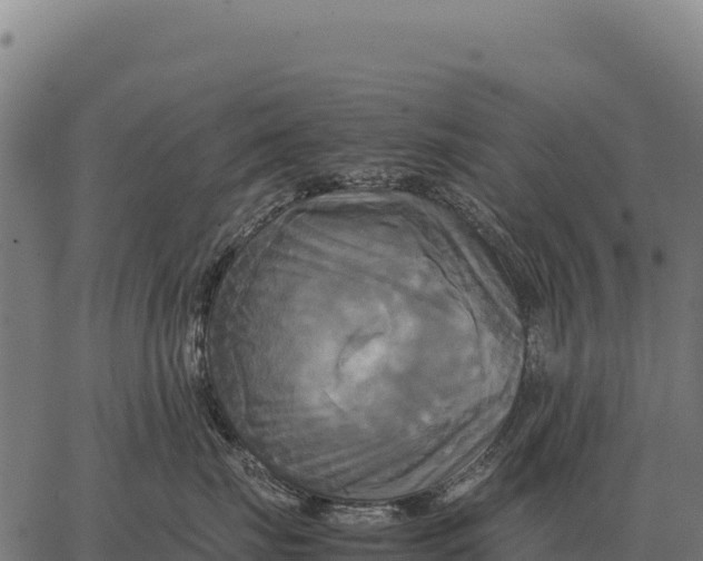 X0000066520671200603311756