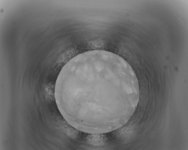 X0000066520672200603311756