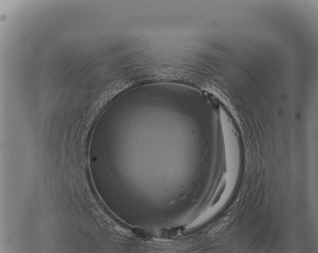 X0000066520673200603311755