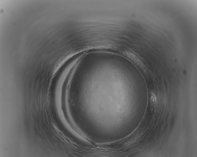 X0000066520676200603311755