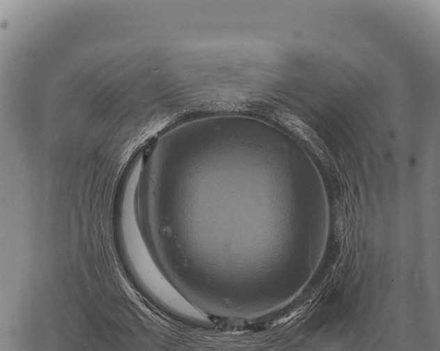 X0000066520677200603311755