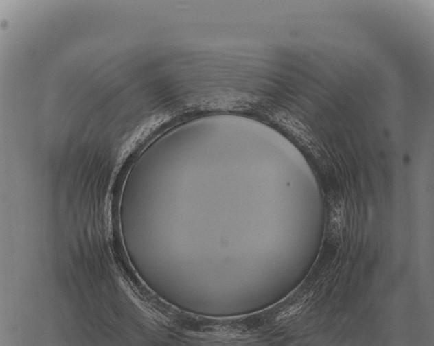 X0000066520678200603311755