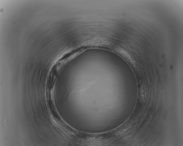 X0000066520680200603311755