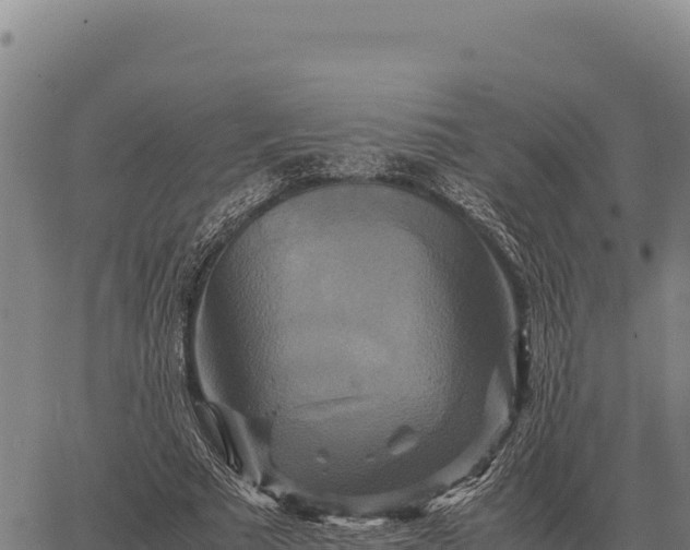 X0000066520681200603311755