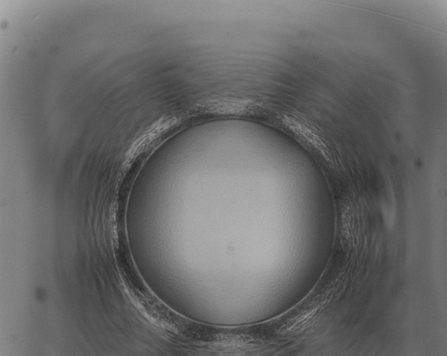 X0000066520682200603311755