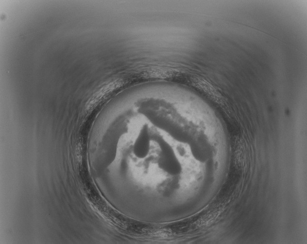 X0000066520683200603311755