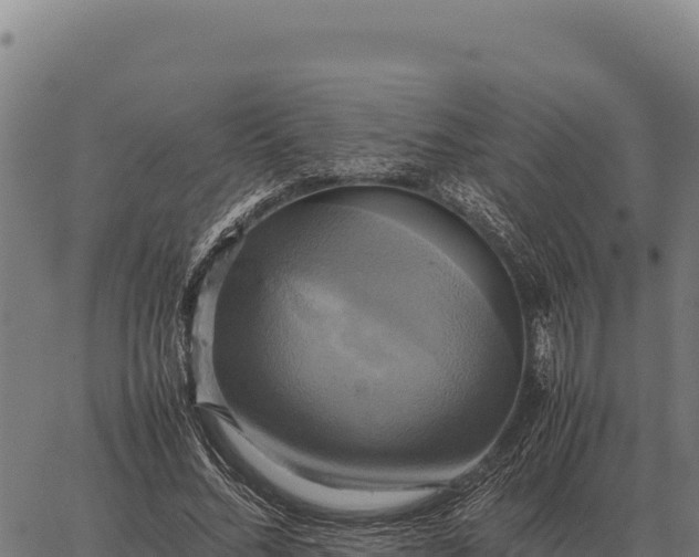 X0000066520684200603311755