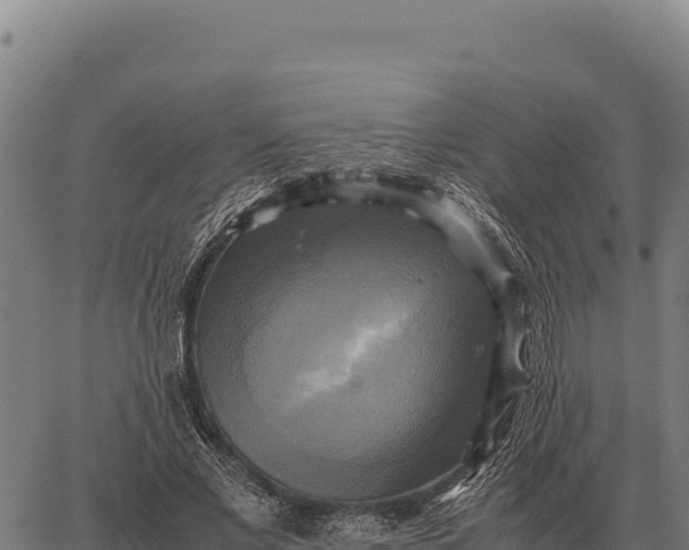 X0000066520685200603311755