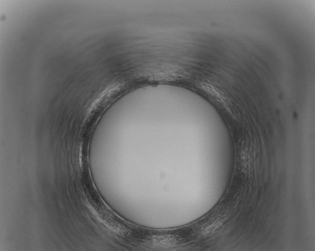 X0000066520686200603311755