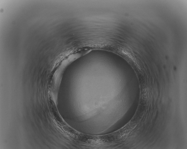 X0000066520688200603311755