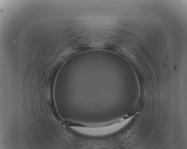 X0000066520689200603311755