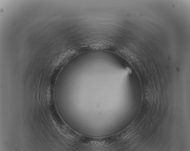 X0000066520690200603311755