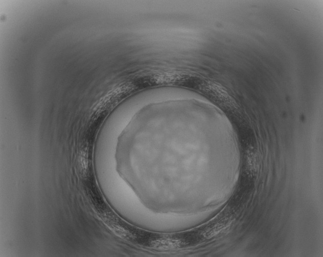 X0000066520691200603311755