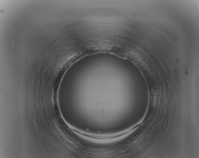 X0000066520692200603311755