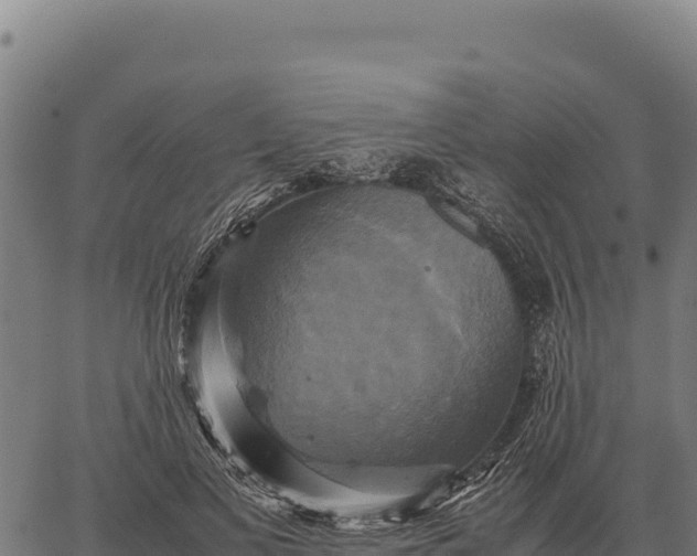 X0000066520693200603311755