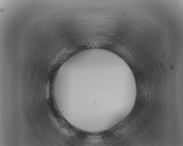 X0000066520694200603311755