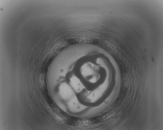 X0000066520695200603311755