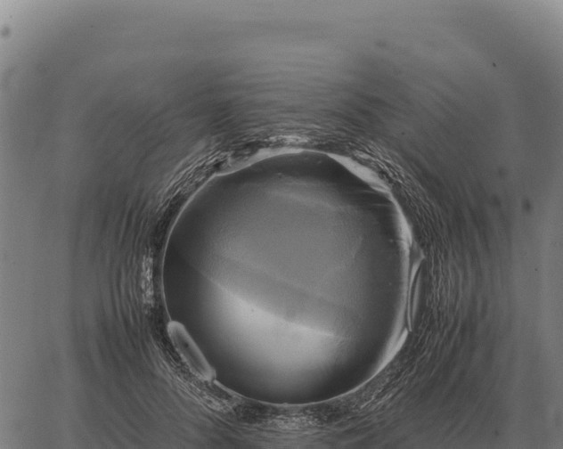 X0000066520696200603311755