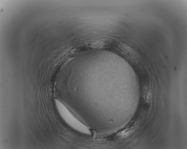 X0000066520697200603311755