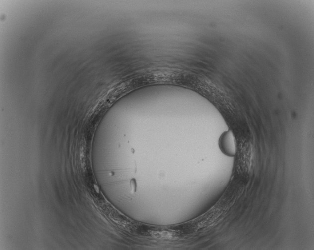 X0000066520698200603311755