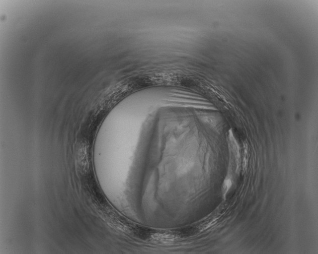 X0000066520699200603311755