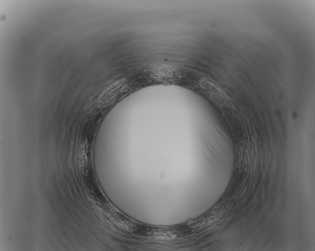 X0000066520702200603311754