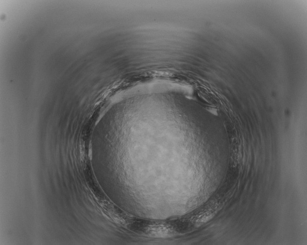 X0000066520704200603311754