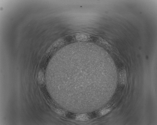 X0000066520705200603311754