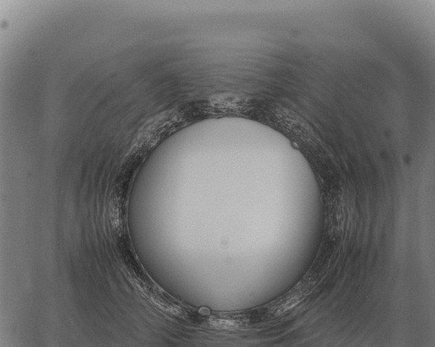 X0000066520706200603311754