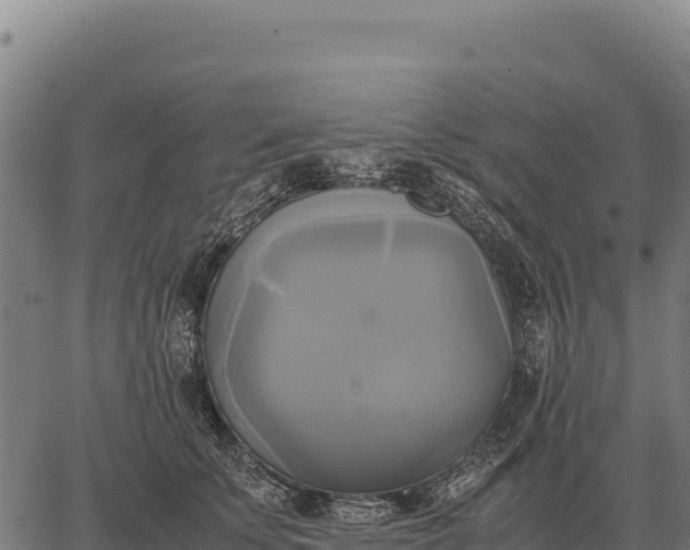 X0000066520707200603311754