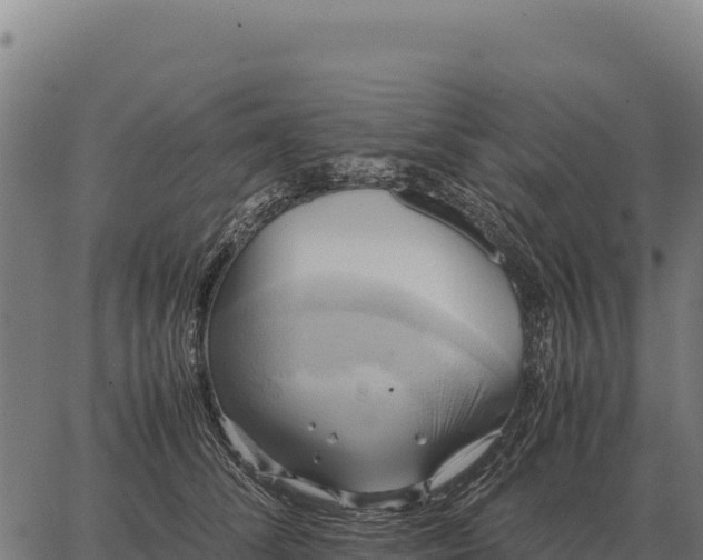 X0000066520708200603311754