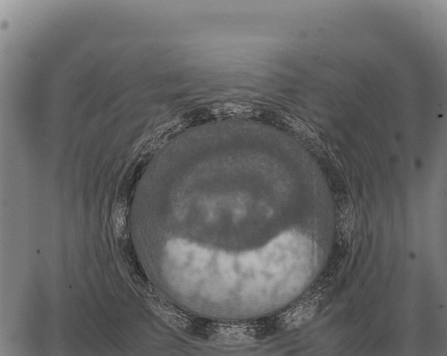 X0000066520709200603311754