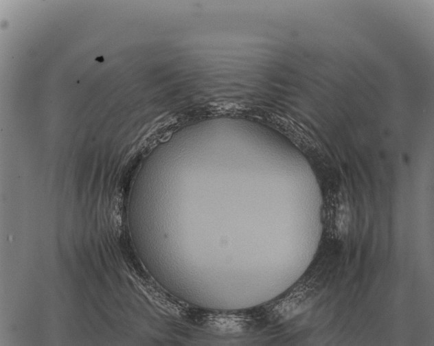 X0000066520710200603311754