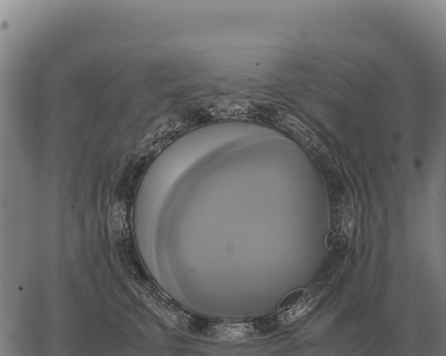 X0000066520711200603311754