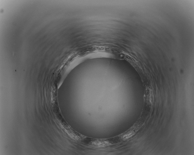 X0000066520712200603311754