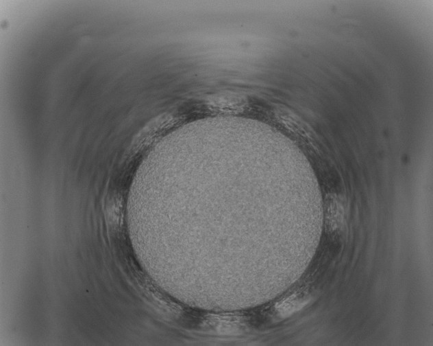 X0000066520713200603311754