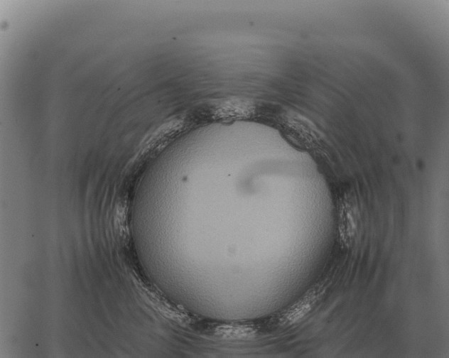 X0000066520714200603311754