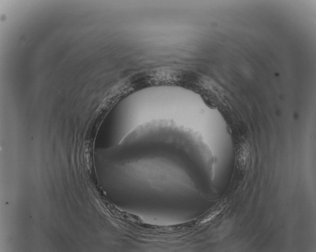 X0000066520715200603311754