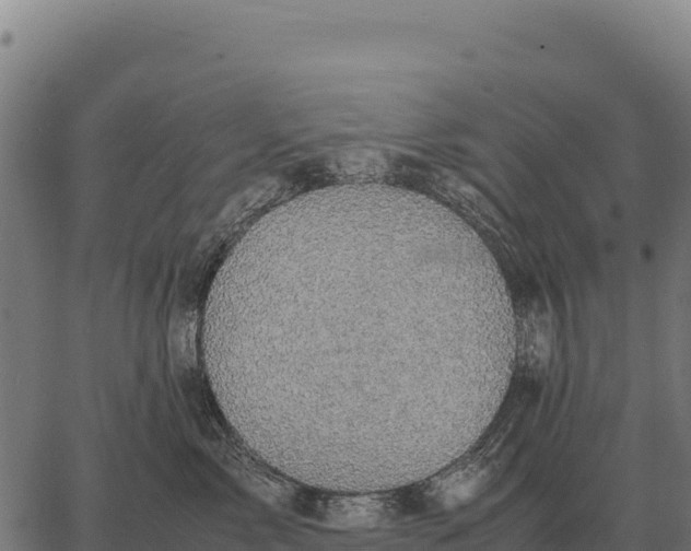 X0000066520717200603311754